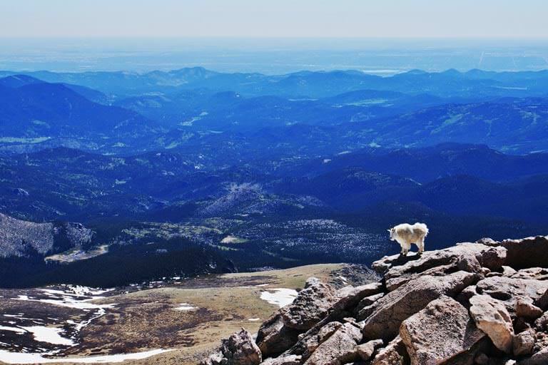 mount-evans